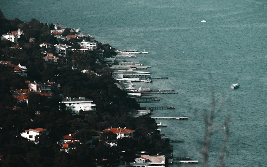 Pine-covered coast and jetties on Büyükada, Princes’ Islands